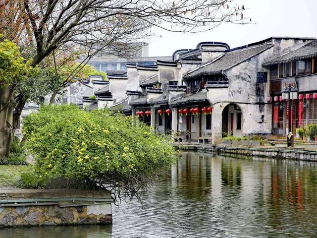 新春走基层丨佳节近春意浓  农贸市场年味足